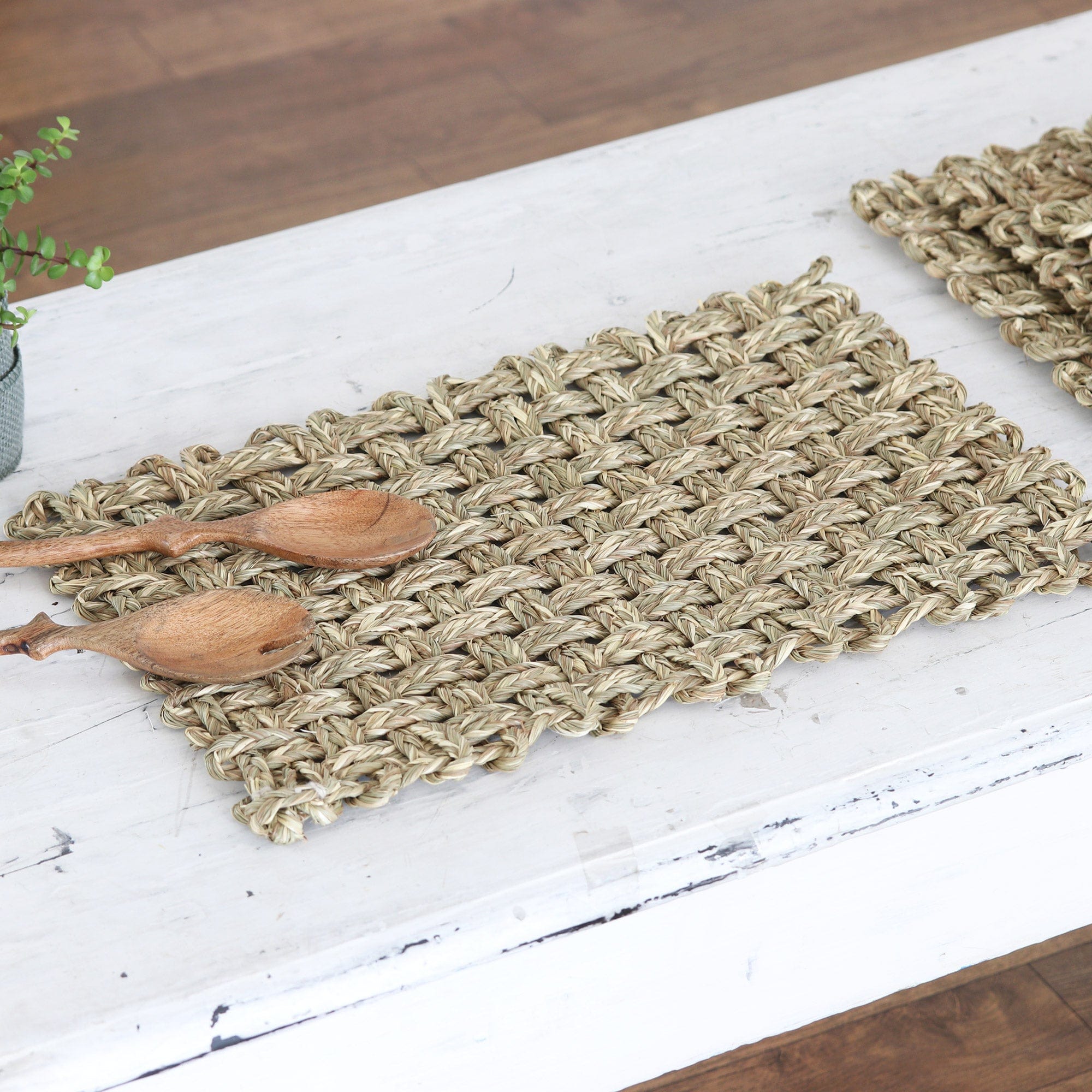 Handcrafted Natural Fiber Placemats from India (Set of 6) - Classic