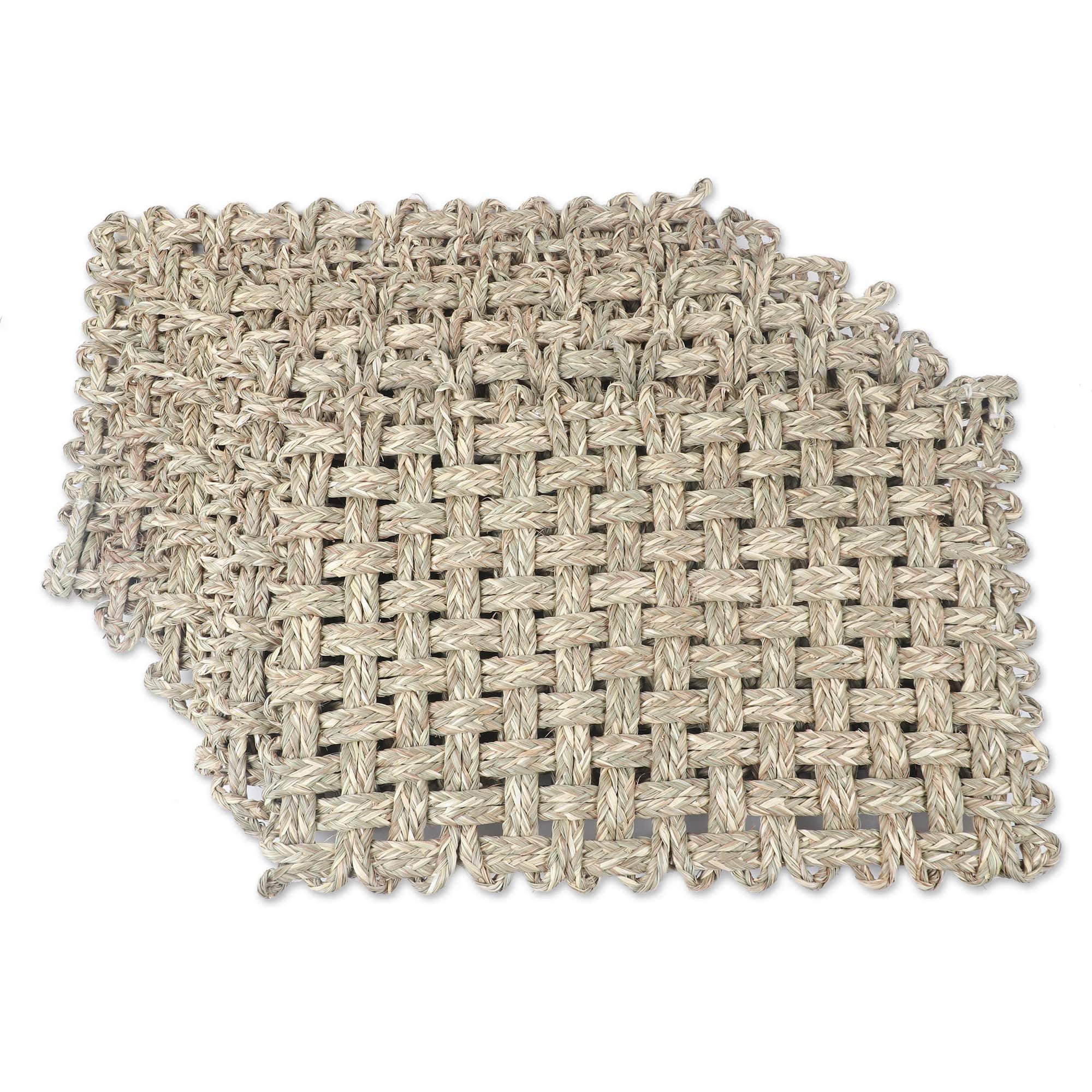 Handcrafted Natural Fiber Placemats from India (Set of 6) - Classic